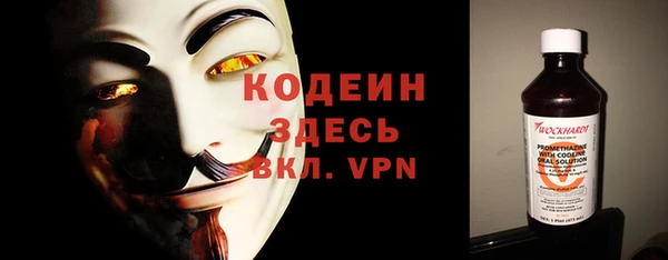 индика Балабаново