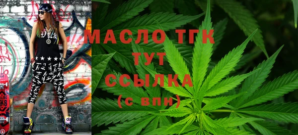 индика Балабаново