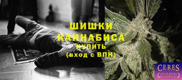 индика Балабаново