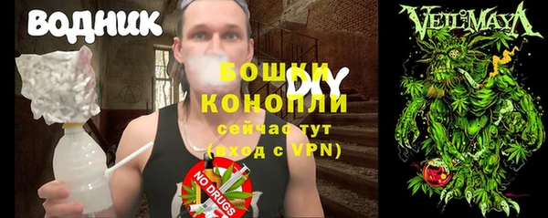 индика Балабаново