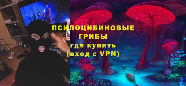 амф Арсеньев