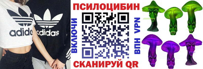 Псилоцибиновые грибы мицелий  закладка  Окуловка 